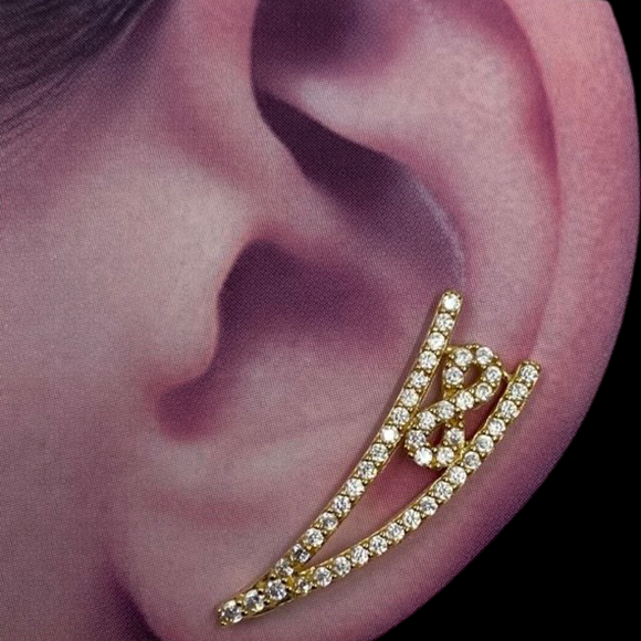 14k Gold Long Hook Earrings